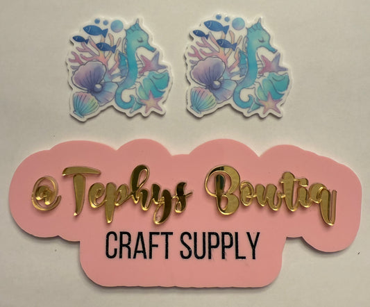 Caballito de mar, Conchas y estrellas de mar 2”